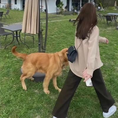 复制强者